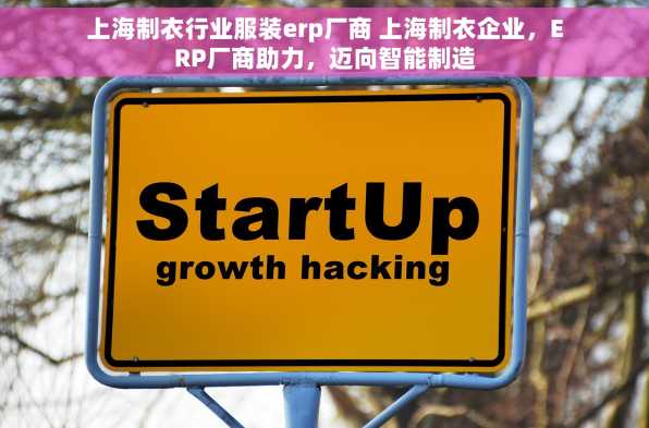 上海制衣行业服装erp厂商 上海制衣企业，ERP厂商助力，迈向智能制造
