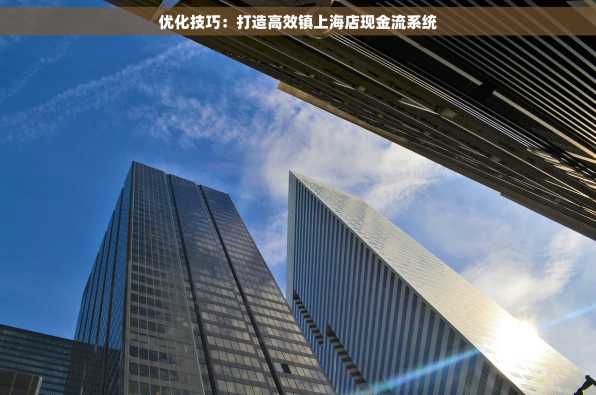 优化技巧：打造高效镇上海店现金流系统