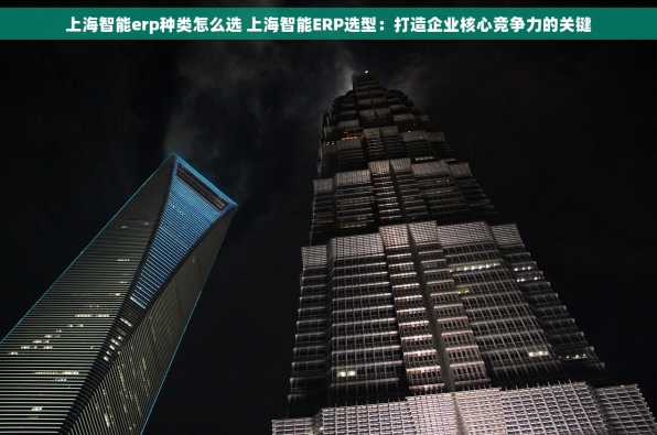 上海智能erp种类怎么选 上海智能ERP选型：打造企业核心竞争力的关键