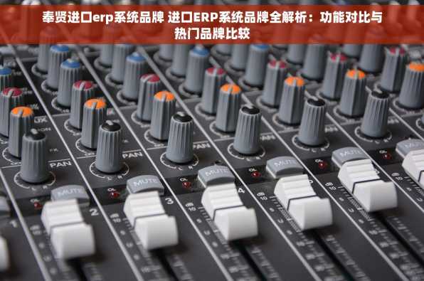 奉贤进口erp系统品牌 进口ERP系统品牌全解析：功能对比与热门品牌比较