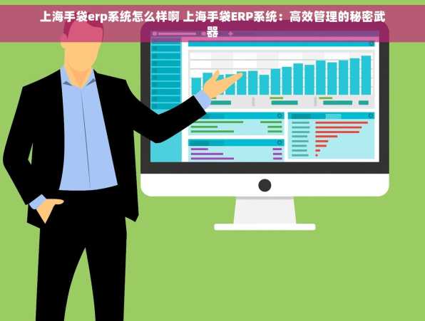 上海手袋erp系统怎么样啊 上海手袋ERP系统：高效管理的秘密武器
