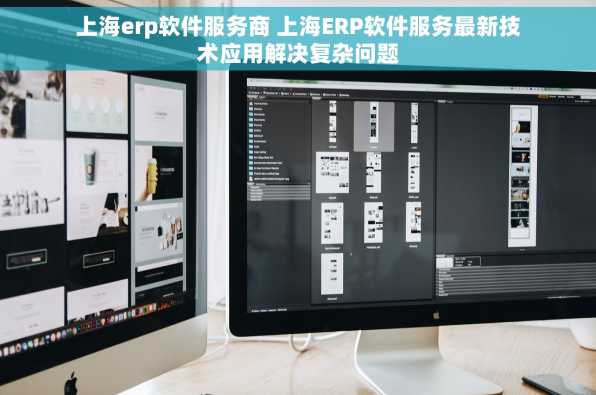 上海erp软件服务商 上海ERP软件服务最新技术应用解决复杂问题
