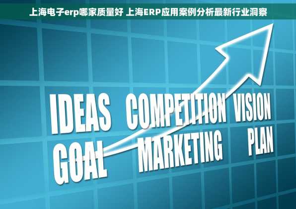 上海电子erp哪家质量好 上海ERP应用案例分析最新行业洞察