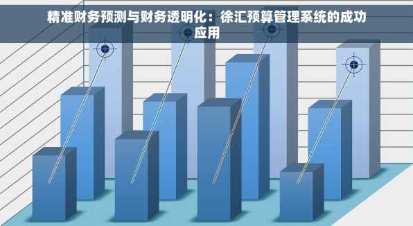 精准财务预测与财务透明化：徐汇预算管理系统的成功应用