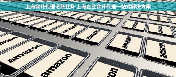 上海会计代理记账业务 上海企业会计代理一站式解决方案