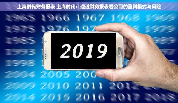 上海时代财务报表 上海时代：透过财务报表看公司的盈利模式与风险