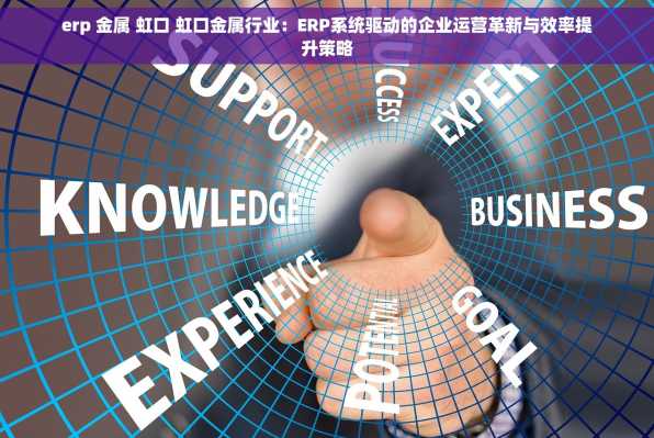 erp 金属 虹口 虹口金属行业：ERP系统驱动的企业运营革新与效率提升策略