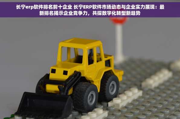 长宁erp软件排名前十企业 长宁ERP软件市场动态与企业实力展现：最新排名揭示企业竞争力，共探数字化转型新趋势