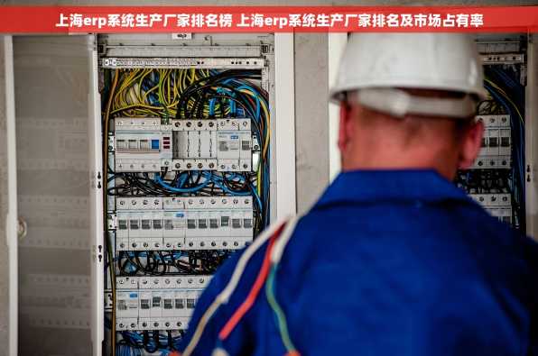 上海erp系统生产厂家排名榜 上海erp系统生产厂家排名及市场占有率