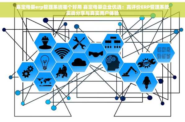 嘉定母婴erp管理系统哪个好用 嘉定母婴企业优选：高评价ERP管理系统实战分享与真实用户体验