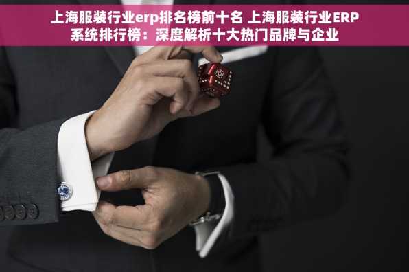 上海服装行业erp排名榜前十名 上海服装行业ERP系统排行榜：深度解析十大热门品牌与企业