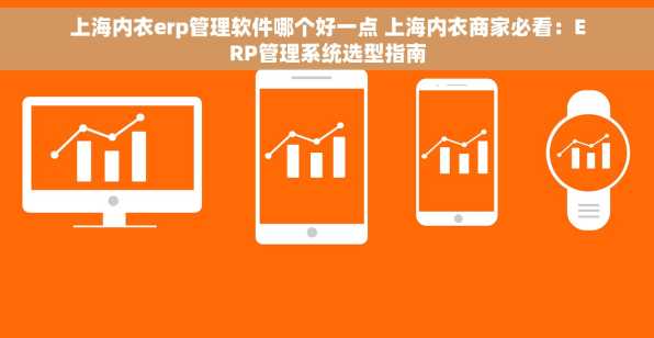 上海内衣erp管理软件哪个好一点 上海内衣商家必看：ERP管理系统选型指南