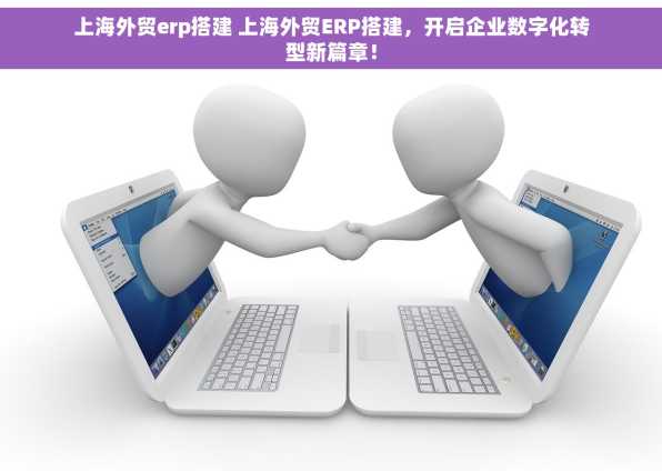 上海外贸erp搭建 上海外贸ERP搭建，开启企业数字化转型新篇章！