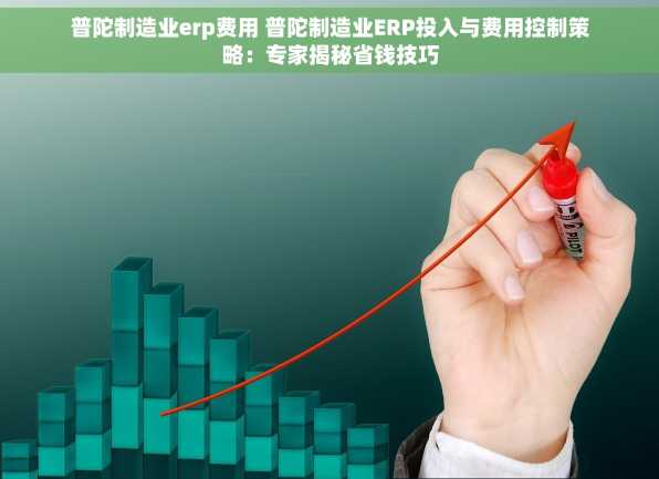 普陀制造业erp费用 普陀制造业ERP投入与费用控制策略：专家揭秘省钱技巧