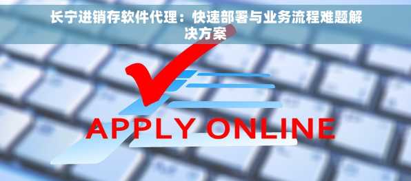 长宁进销存软件代理：快速部署与业务流程难题解决方案