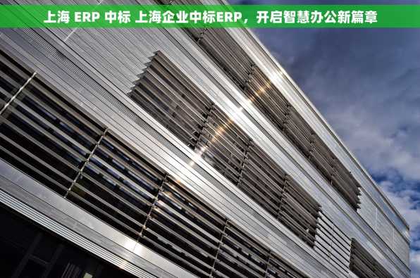 上海 ERP 中标 上海企业中标ERP，开启智慧办公新篇章