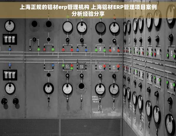 上海正规的铝材erp管理机构 上海铝材ERP管理项目案例分析经验分享
