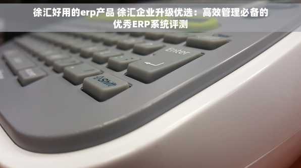 徐汇好用的erp产品 徐汇企业升级优选：高效管理必备的优秀ERP系统评测