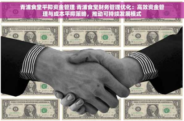 青浦食堂平抑资金管理 青浦食堂财务管理优化：高效资金管理与成本平抑策略，推动可持续发展模式
