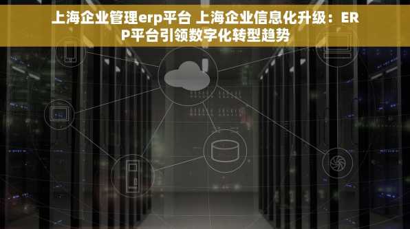 上海企业管理erp平台 上海企业信息化升级：ERP平台引领数字化转型趋势