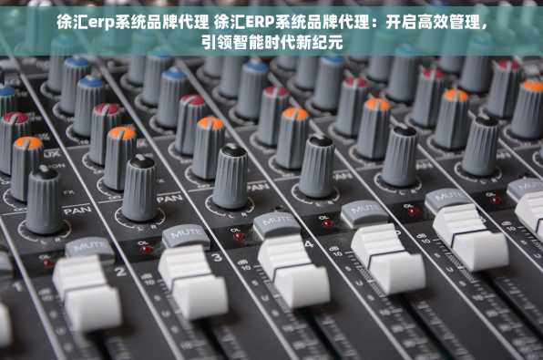 徐汇erp系统品牌代理 徐汇ERP系统品牌代理：开启高效管理，引领智能时代新纪元