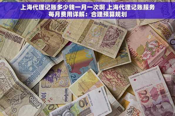 上海代理记账多少钱一月一次啊 上海代理记账服务每月费用详解：合理预算规划