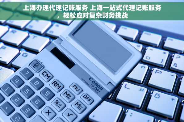 上海办理代理记账服务 上海一站式代理记账服务，轻松应对复杂财务挑战