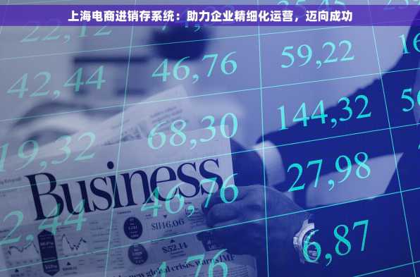上海电商进销存系统：助力企业精细化运营，迈向成功