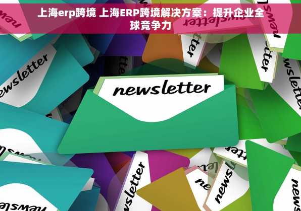 上海erp跨境 上海ERP跨境解决方案：提升企业全球竞争力