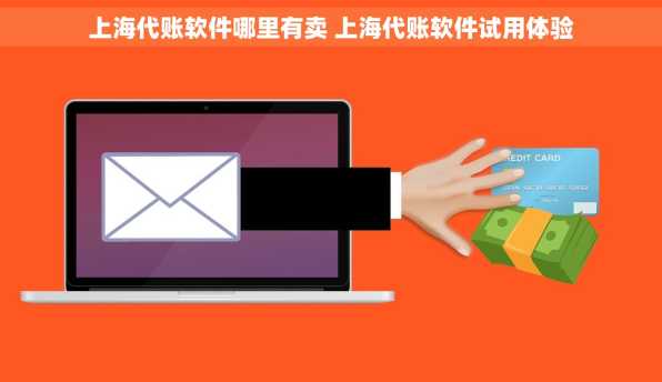 上海代账软件哪里有卖 上海代账软件试用体验