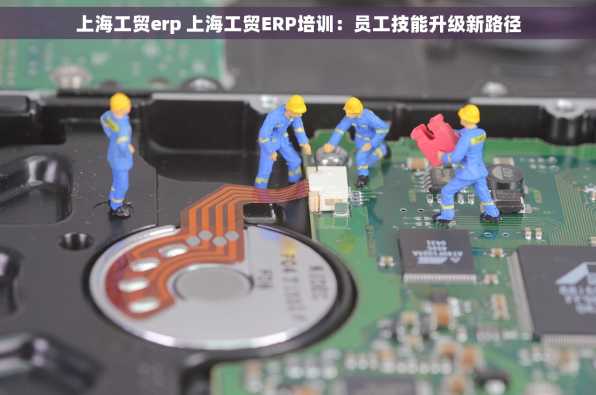 上海工贸erp 上海工贸ERP培训：员工技能升级新路径