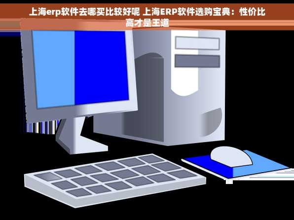 上海erp软件去哪买比较好呢 上海ERP软件选购宝典：性价比高才是王道