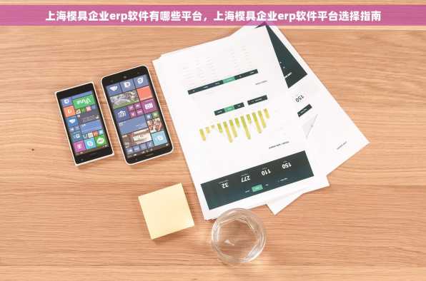 上海模具企业erp软件有哪些平台，上海模具企业erp软件平台选择指南
