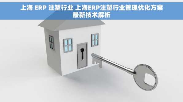 上海 ERP 注塑行业 上海ERP注塑行业管理优化方案最新技术解析