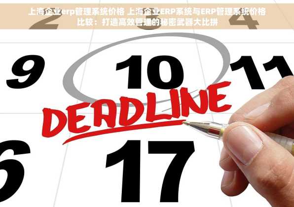 上海企业erp管理系统价格 上海企业ERP系统与ERP管理系统价格比较：打造高效管理的秘密武器大比拼