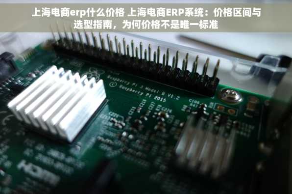 上海电商erp什么价格 上海电商ERP系统：价格区间与选型指南，为何价格不是唯一标准