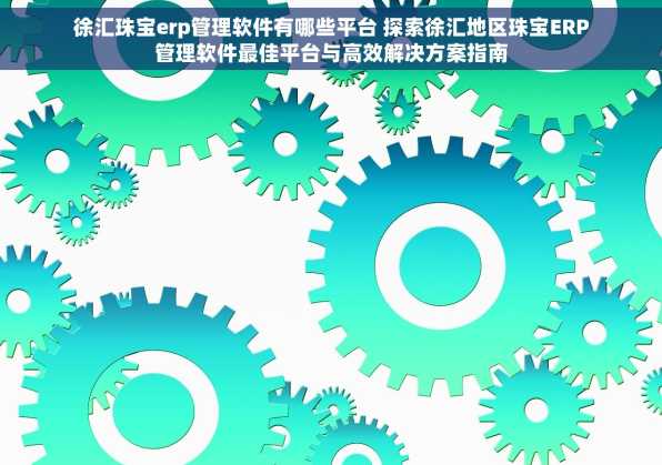徐汇珠宝erp管理软件有哪些平台 探索徐汇地区珠宝ERP管理软件最佳平台与高效解决方案指南