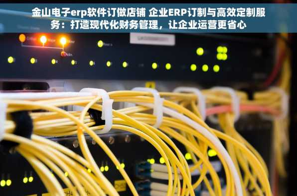 金山电子erp软件订做店铺 企业ERP订制与高效定制服务：打造现代化财务管理，让企业运营更省心