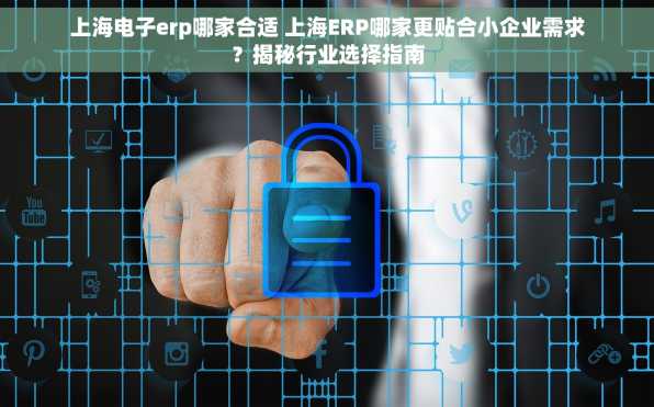 上海电子erp哪家合适 上海ERP哪家更贴合小企业需求？揭秘行业选择指南