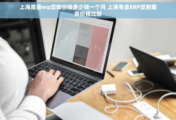 上海质量erp定做价格多少钱一个月 上海专业ERP定制服务价格比较