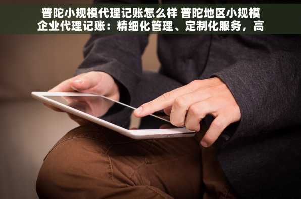 普陀小规模代理记账怎么样 普陀地区小规模企业代理记账：精细化管理、定制化服务，高效节省成本，满足个性化需求