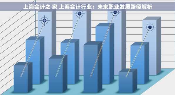上海会计之 家 上海会计行业：未来职业发展路径解析