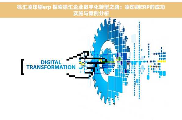 徐汇凌印刷erp 探索徐汇企业数字化转型之路：凌印刷ERP的成功实施与案例分析