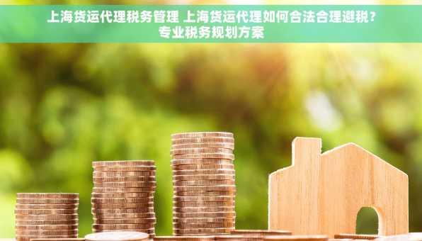 上海货运代理税务管理 上海货运代理如何合法合理避税？专业税务规划方案