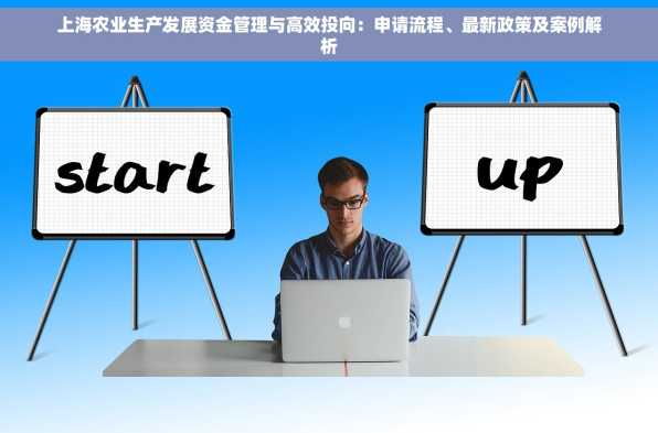 上海农业生产发展资金管理与高效投向：申请流程、最新政策及案例解析