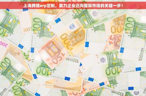 上海跨境erp定制，助力企业迈向国际市场的关键一步！