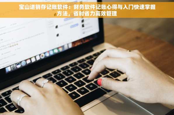 宝山进销存记账软件：财务软件记账心得与入门快速掌握方法，省时省力高效管理