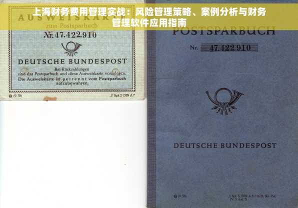 上海财务费用管理实战：风险管理策略、案例分析与财务管理软件应用指南