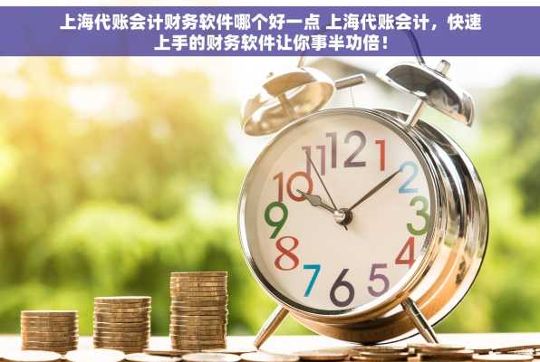 上海代账会计财务软件哪个好一点 上海代账会计，快速上手的财务软件让你事半功倍！