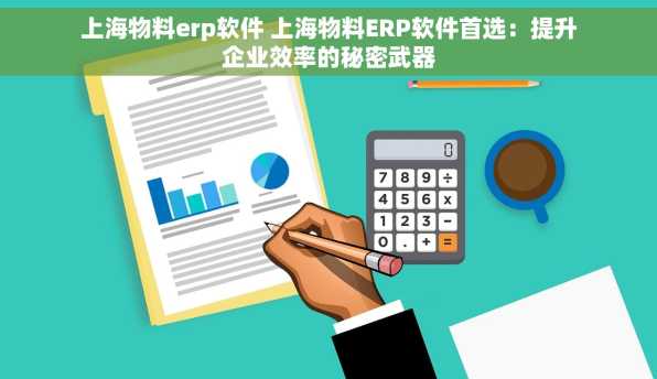 上海物料erp软件 上海物料ERP软件首选：提升企业效率的秘密武器